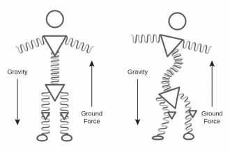 Illustration of body's reaction to gravity vs. ground force