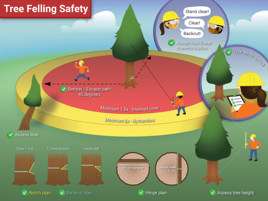 Tree felling safety infographic