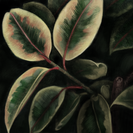A digital painting of a plant emerging from a very dark background.